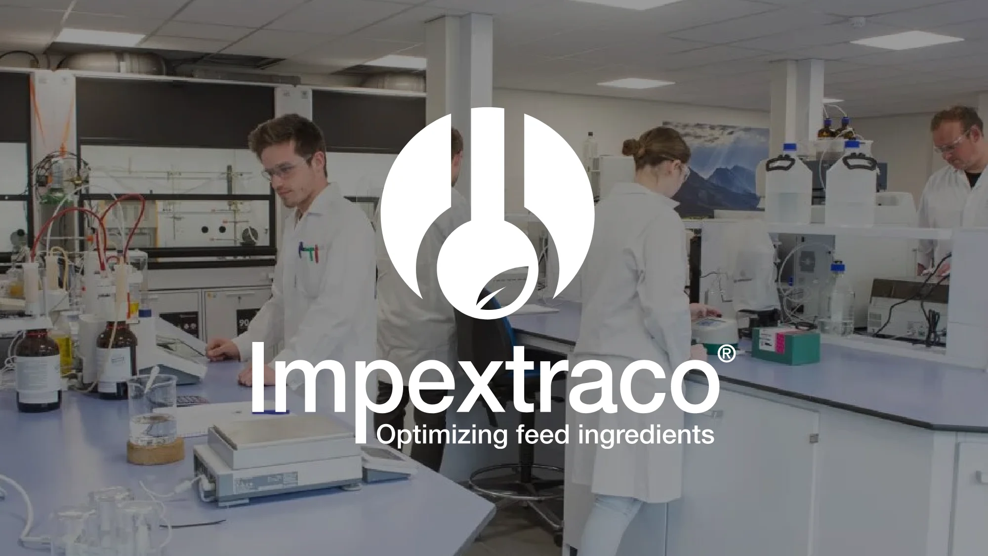 Bouwen - Impextraco